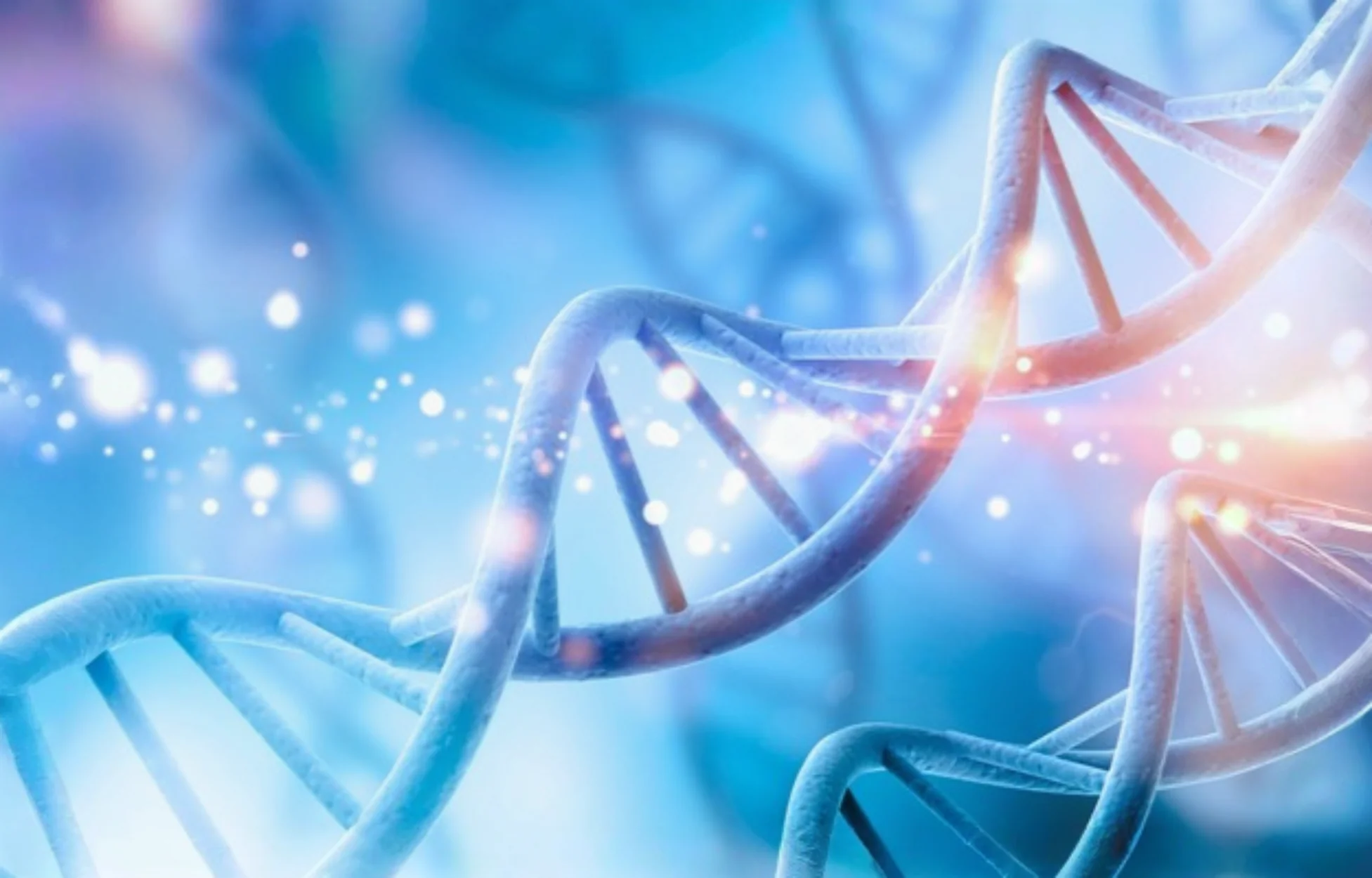 Featured-Research